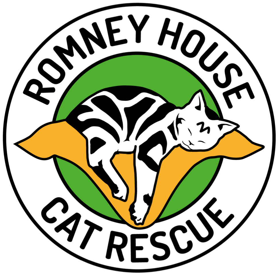 Romney House Cat rescue